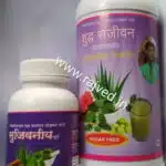 Shudh sanjivani syrup 500ml +75gm powder New Aarogyasanjeevani liquid - Image 2