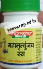 mahamrutyunjay ras 20tab shree baidyanath ayurved bhavan - Image 2