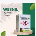Wesnil plus 30gm shree saptashrungi nivasini ayurvedic company best buy - Image 2