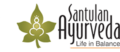 logo v2