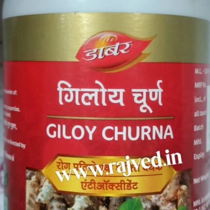 dabur giloy churna 100gm dabur india limited