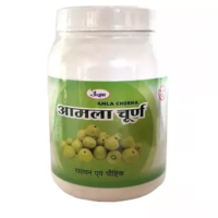 amla churna 100 gm the unjha pharmacy