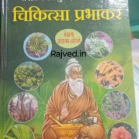 chikitsa prabhakar by prabhakar ogale shree gajanan book depo marathi edition best buy