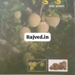 guggul samagra adhyan