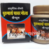 purusharth power gold capsule 10cap upto 20% off shree sant sai ayurvedic