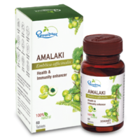 amalki tablet 60 tab upto 20% off shree dhootpapeshwar panvel