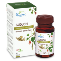 guduchi tablet 60 tabs upto 20% off shree dhootpapeshwar panvel
