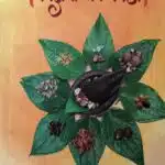 tridoshantak vida vaidya gauri mandar borkar marathi edition