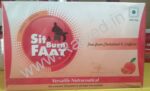 sit and burn faat now morolife nutraceutical for adult 1 pack 300gm elements
