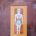 Panchabhautik Chikitsa Vol-2 Vaidyaraj Datar Panchabhautik Chikitsa V Sanshodhan Kendra english book