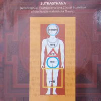 Panchabhautik Chikitsa Vol-2 Vaidyaraj Datar Panchabhautik Chikitsa V Sanshodhan Kendra english book