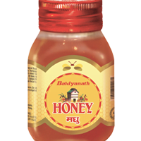 honey 250gm shree baidyanath ayurved bhavan